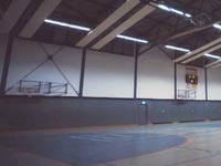 Halle_tsv