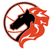 VFG-Mölln Logo